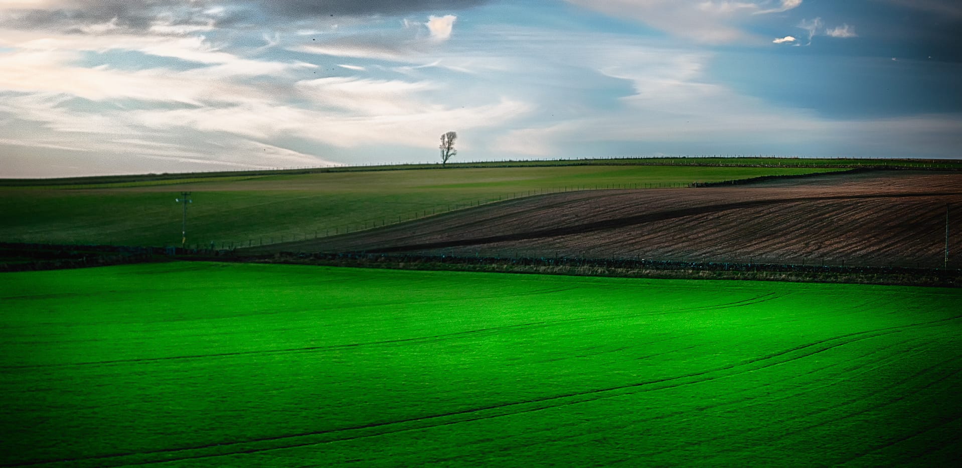 1025455 HDR 1 Bewerkt Bewerkt Bewerkt