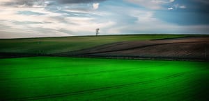 1025455 HDR 1 Bewerkt Bewerkt Bewerkt