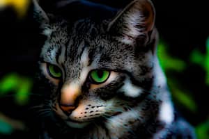 Colorful image of a domestic cat